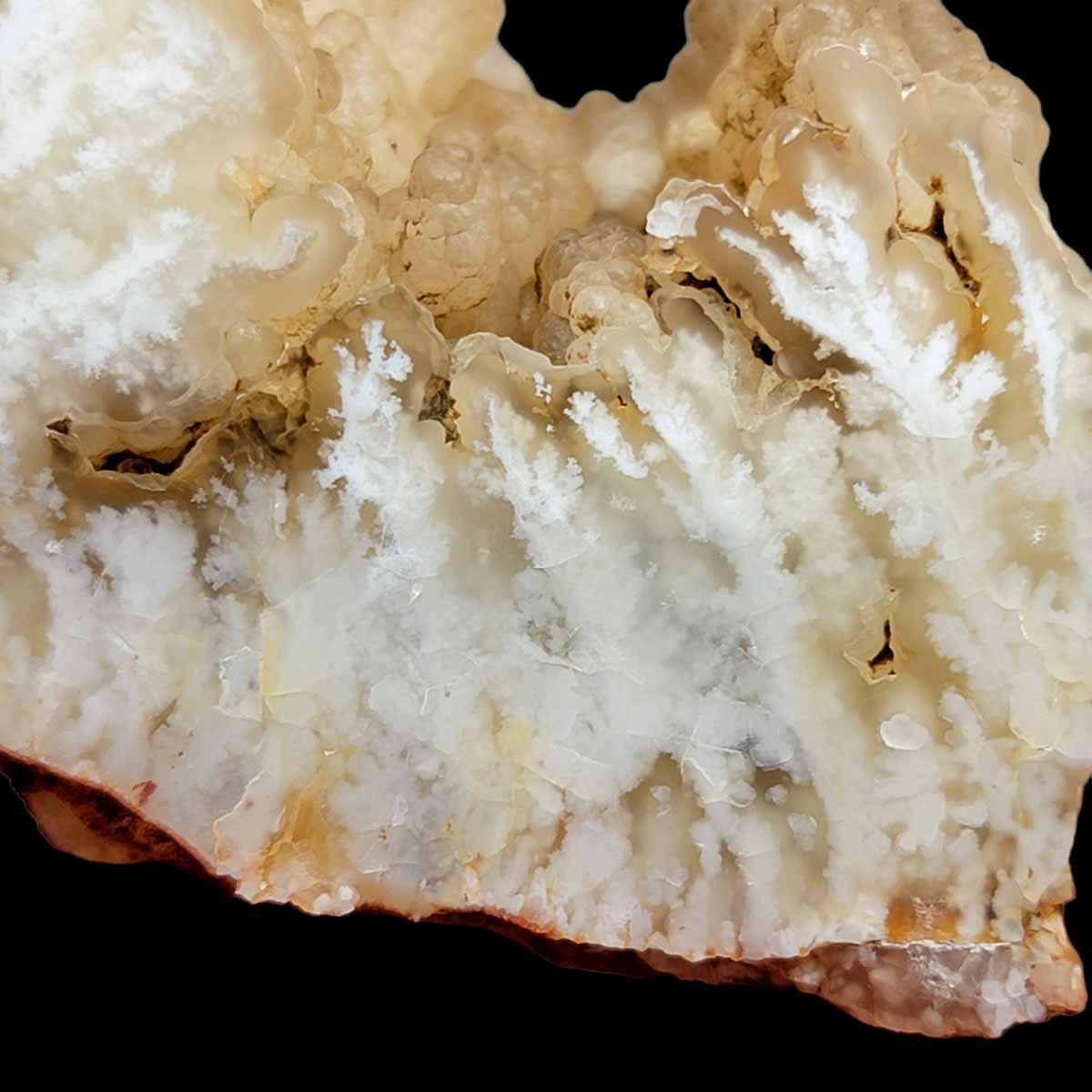 Polished Stinking Water Plume Agate Display Specimen! - LapidaryCentral