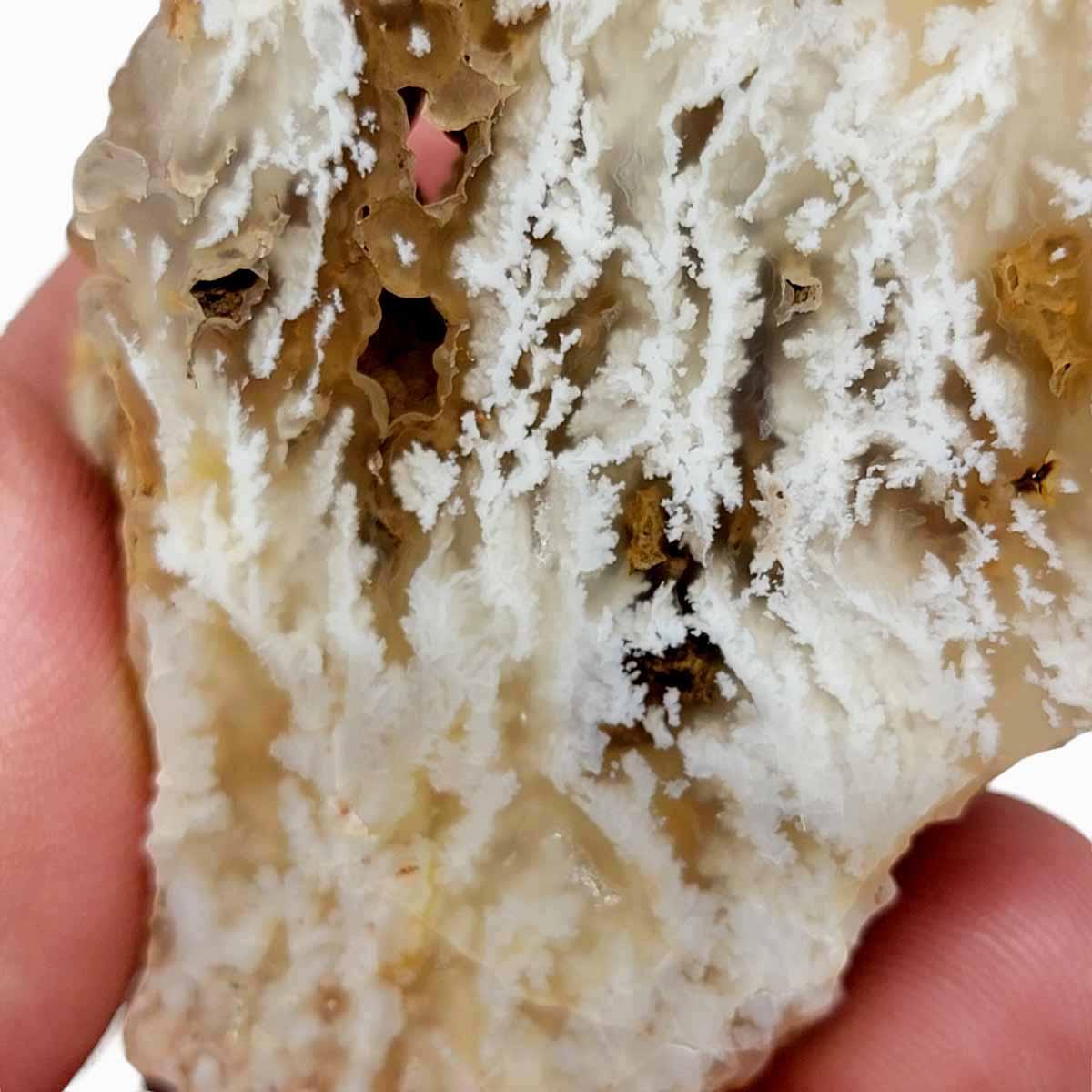 Polished Stinking Water Plume Agate Display Specimen! - LapidaryCentral