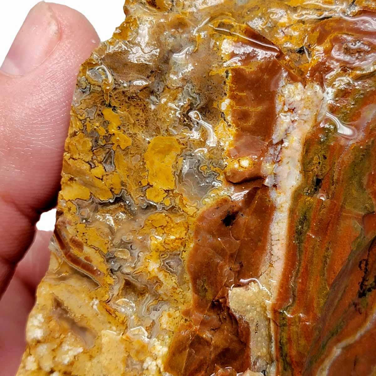 Eagle Rock Plume Agate Rough Chunk! - LapidaryCentral