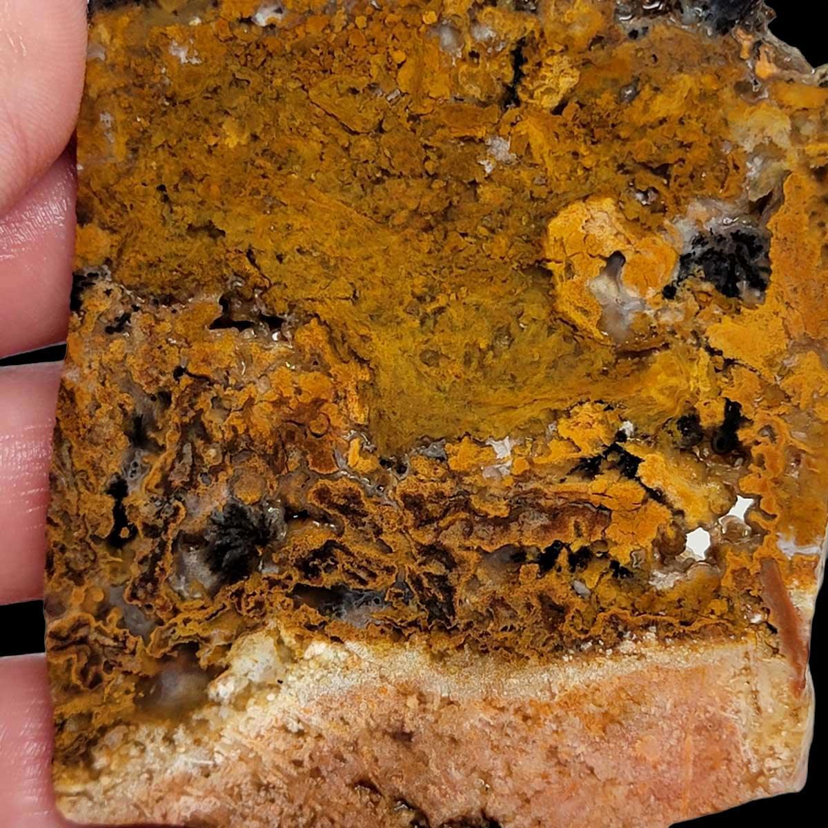 Eagle Rock Plume Agate Slab!  Lapidary Stone Slab! - LapidaryCentral