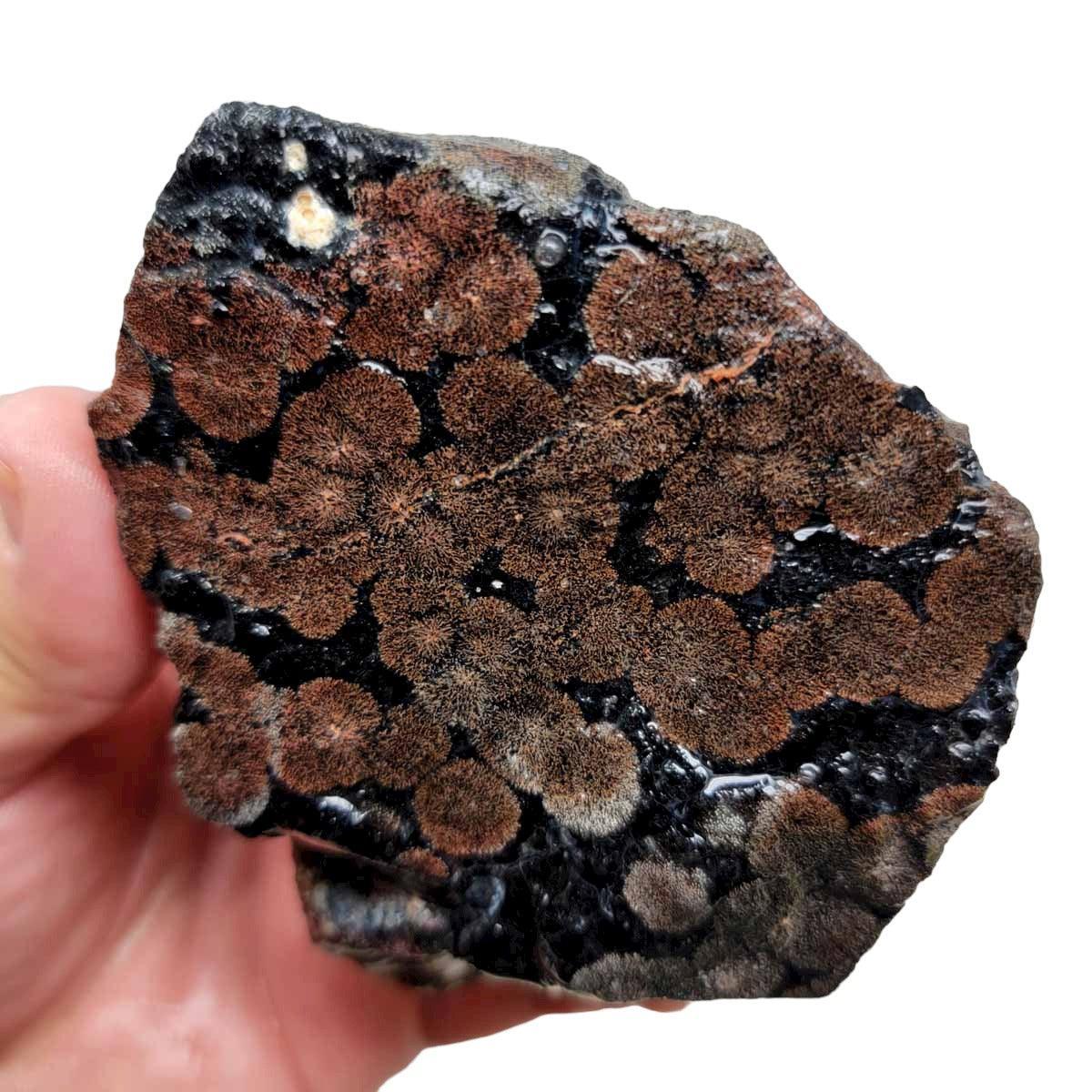 Flower/Fireworks Obsidian Rough Chunk! - LapidaryCentral