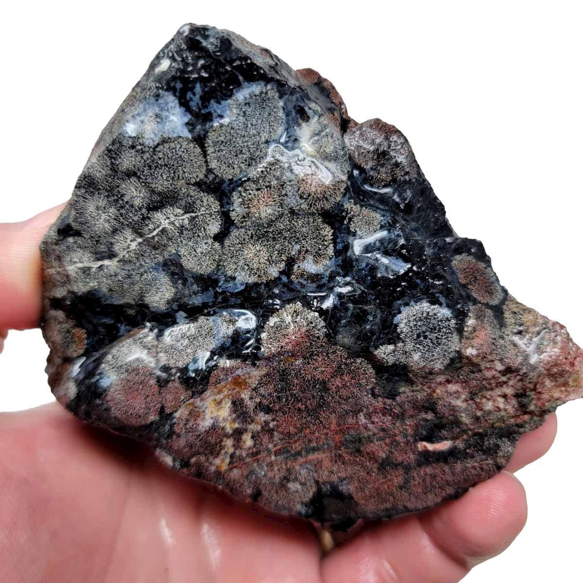 Flower/Fireworks Obsidian Rough Chunk! - LapidaryCentral