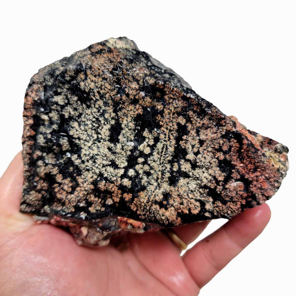 Flower/Fireworks Obsidian Rough Chunk! - LapidaryCentral