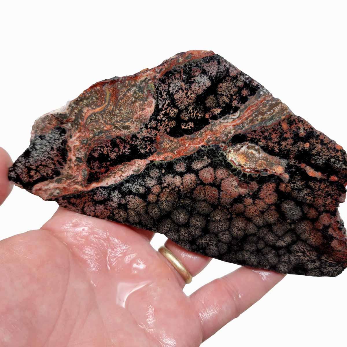 Flower Obsidian Slab!  Lapidary Stone Slab! Fireworks Obsidian - LapidaryCentral