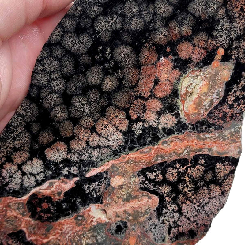 Flower Obsidian Slab!  Lapidary Stone Slab! Fireworks Obsidian - LapidaryCentral