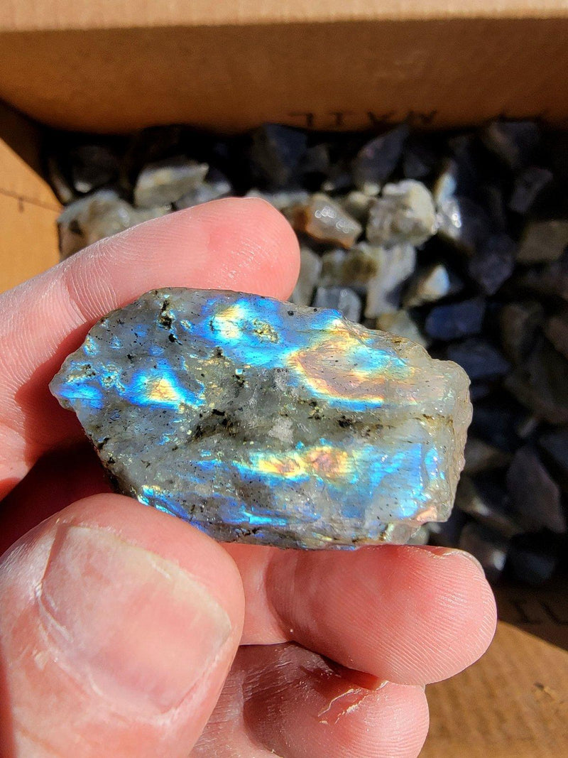 Madagascar Freeform Cabochon Spectrolite Sized Chunks High Grade! - LapidaryCentral