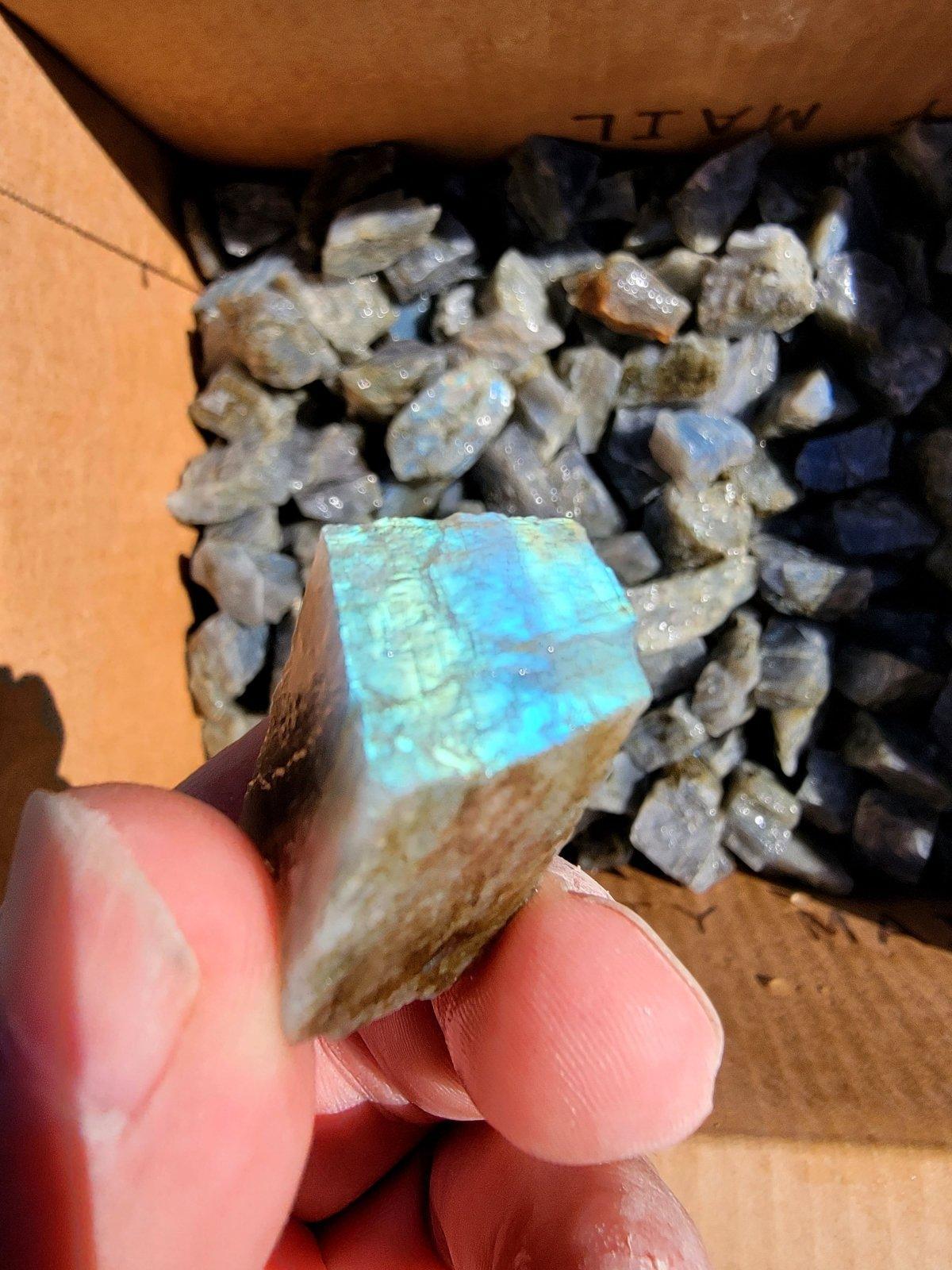 Madagascar Spectralite popular / Labradorite Freeform ESpec269