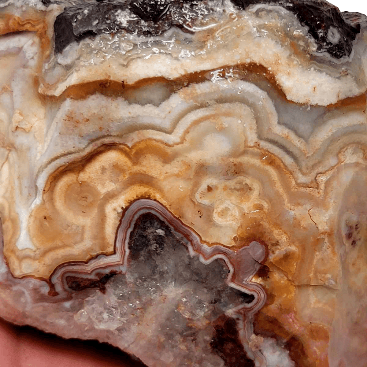 Flor de Durazno Flower of Peach Lace Agate Rough Chunk! - LapidaryCentral