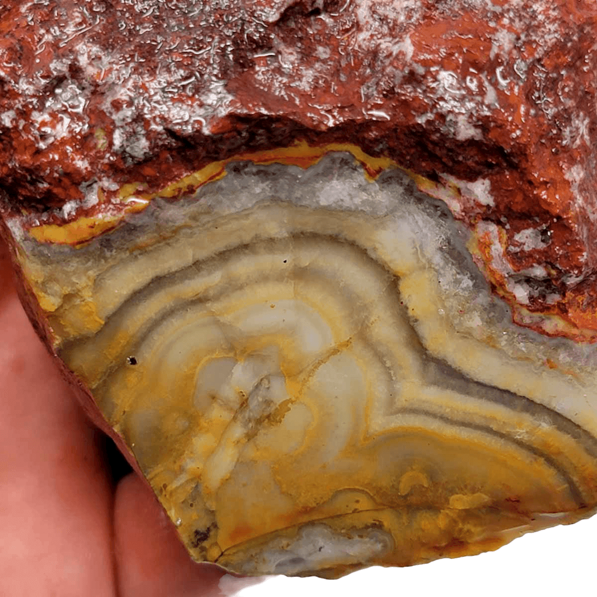 Flor de Durazno Flower of Peach Lace Agate Rough Chunk! - LapidaryCentral