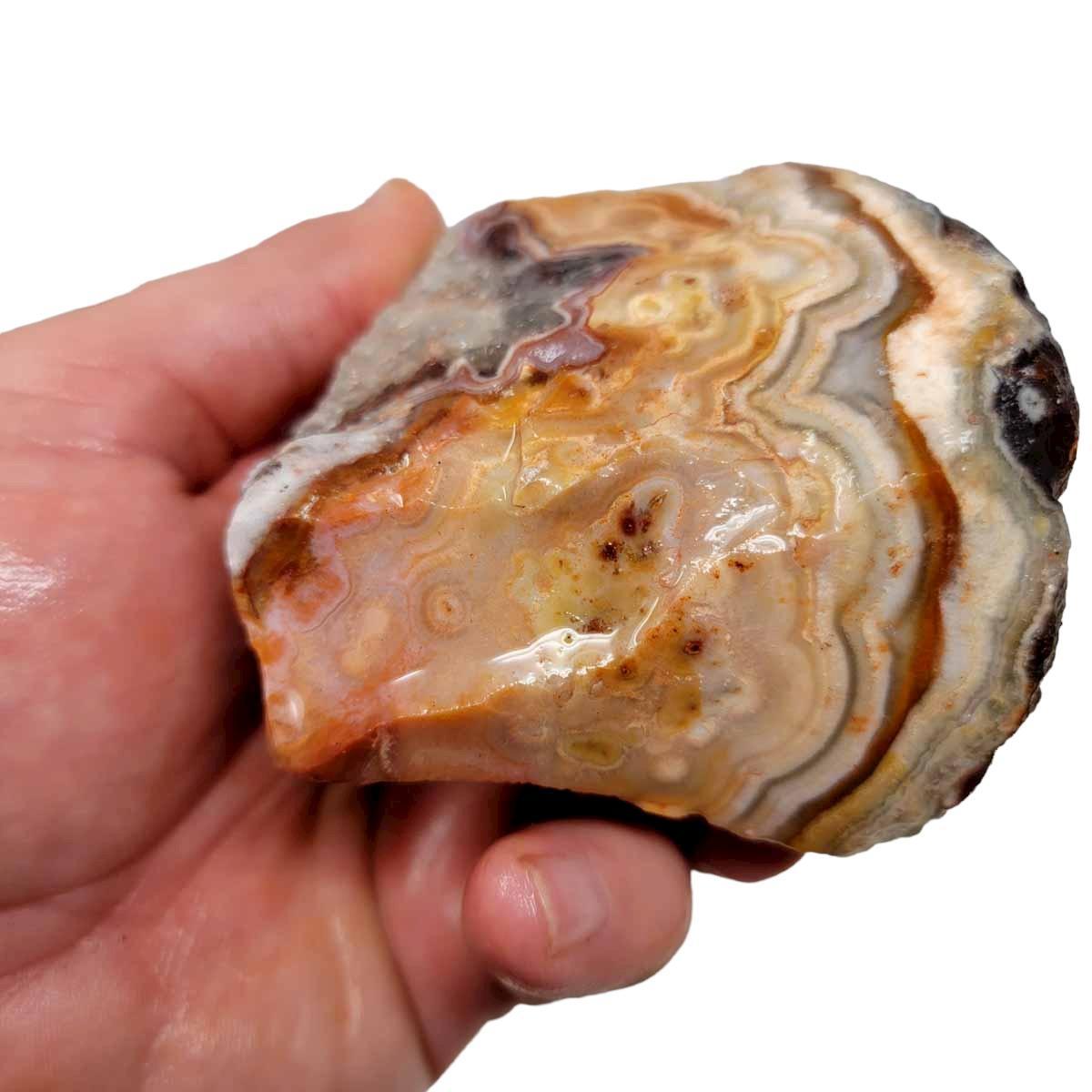 Flor de Durazno Flower of Peach Lace Agate Rough Chunk! - LapidaryCentral