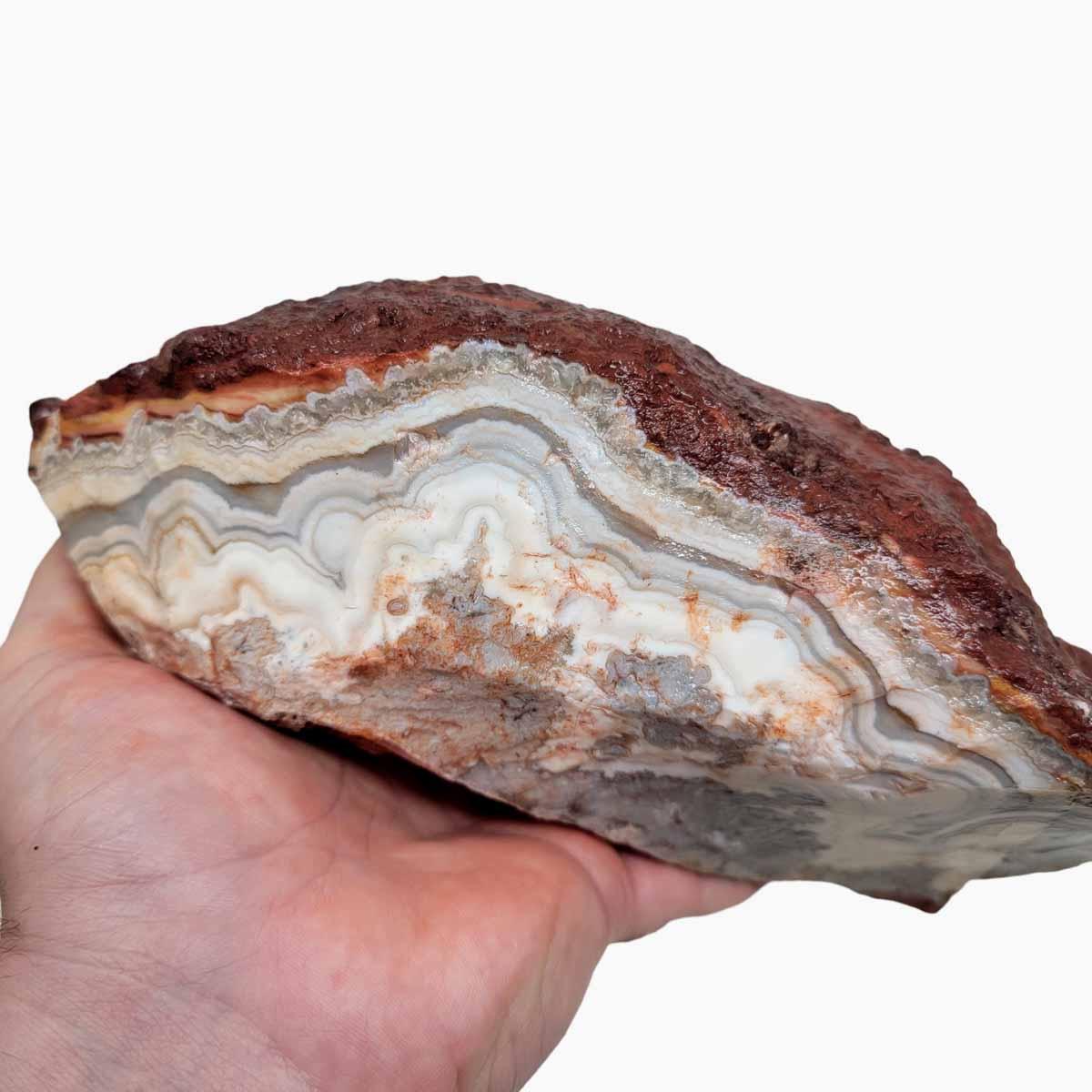 Flor de Durazno Flower of Peach Lace Agate Rough Chunk! - Lapidary Central