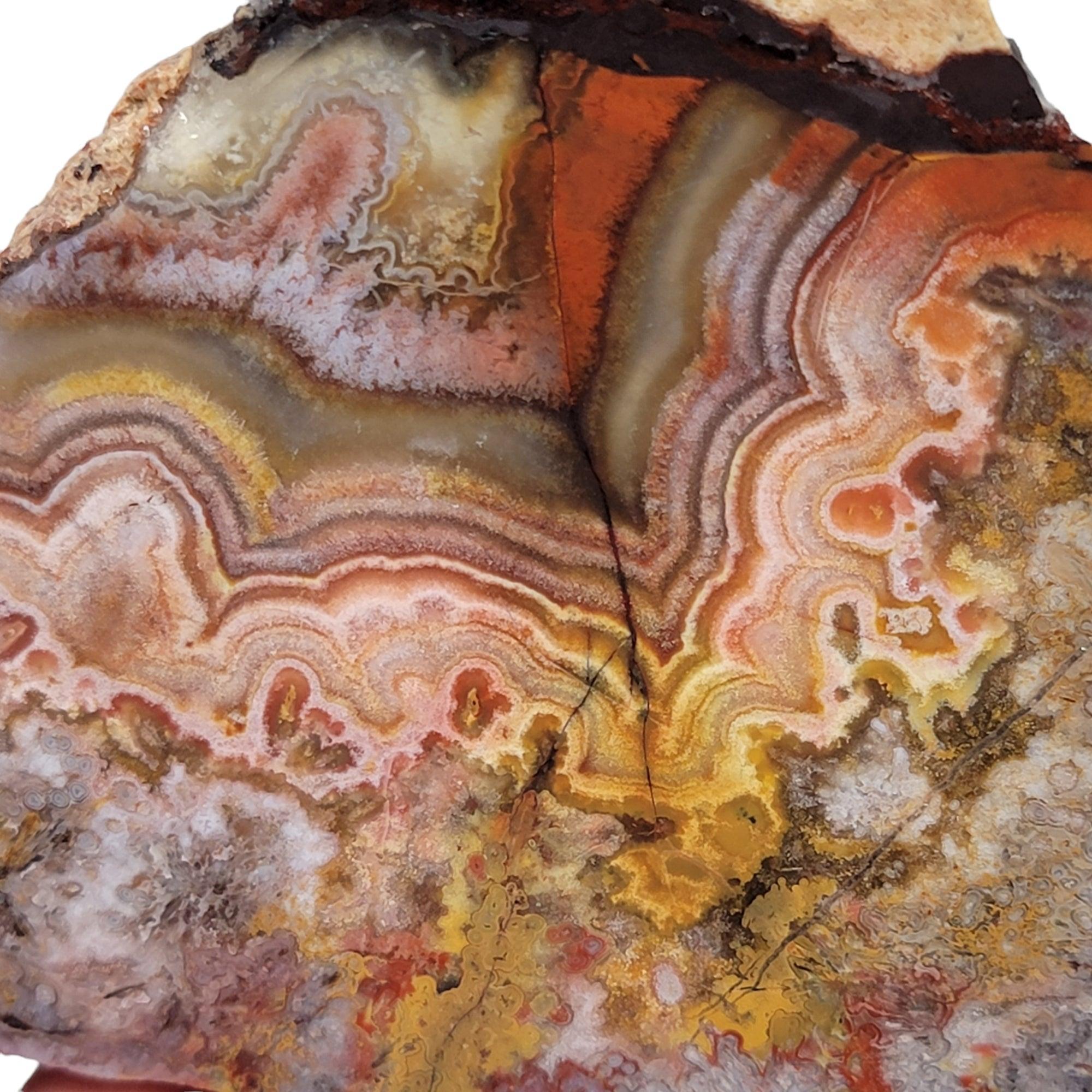 Flor de Durazno Flower of Peach Lace Agate Slab!  Lapidary Stone Slab! - LapidaryCentral