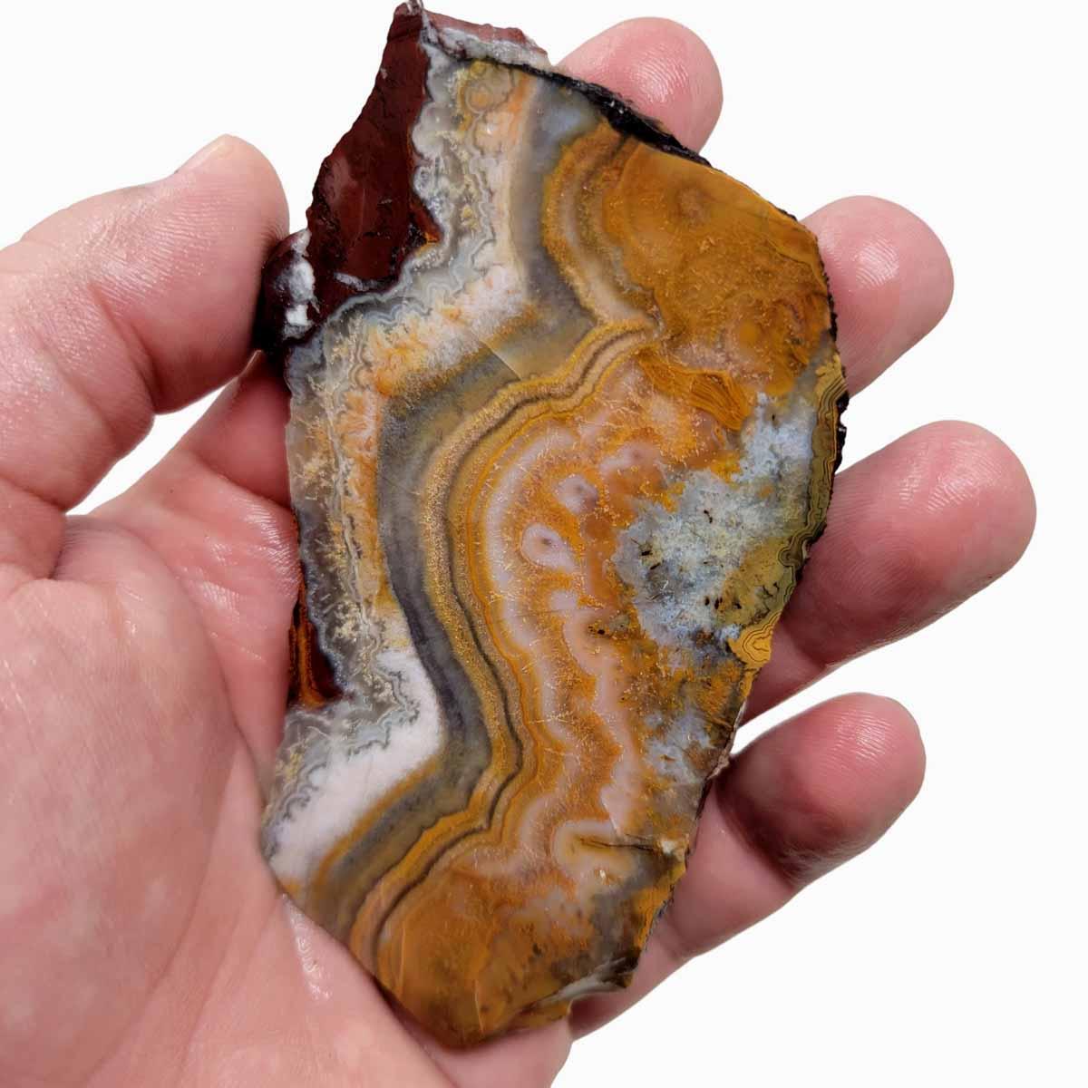 Flor de Durazno Flower of Peach Lace Agate Slab!  Lapidary Stone Slab! - LapidaryCentral