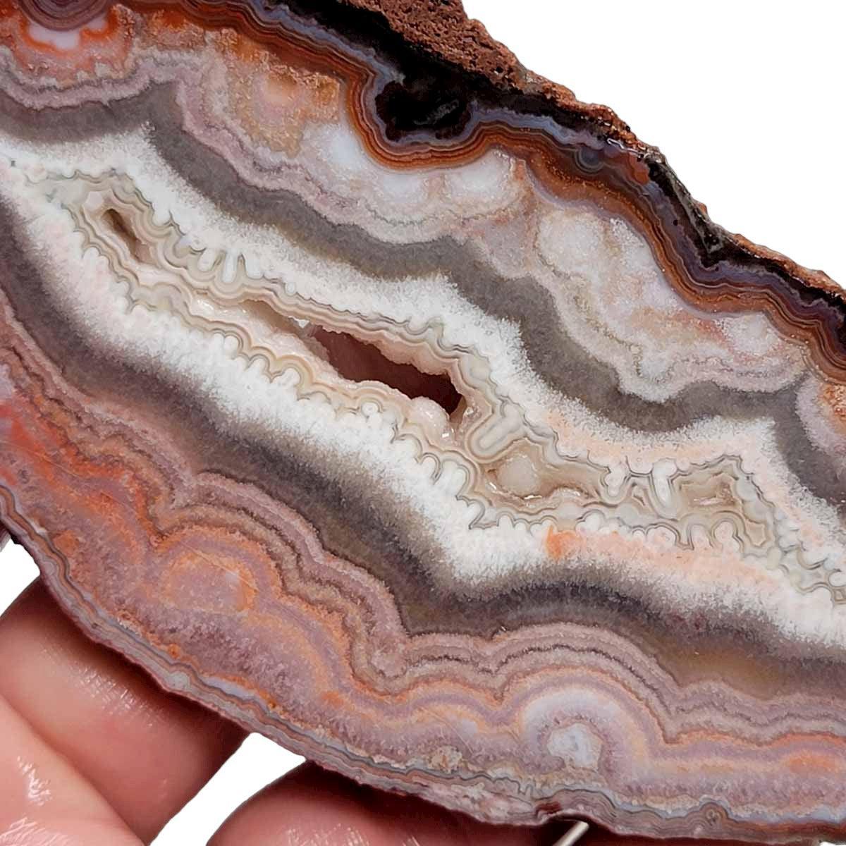 Flor de Durazno Flower of Peach Lace Agate Slab!  Lapidary Stone Slab! - LapidaryCentral