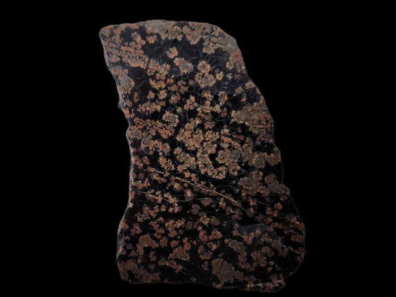 Flower Obsidian Slab!  Lapidary Stone Slab! - LapidaryCentral
