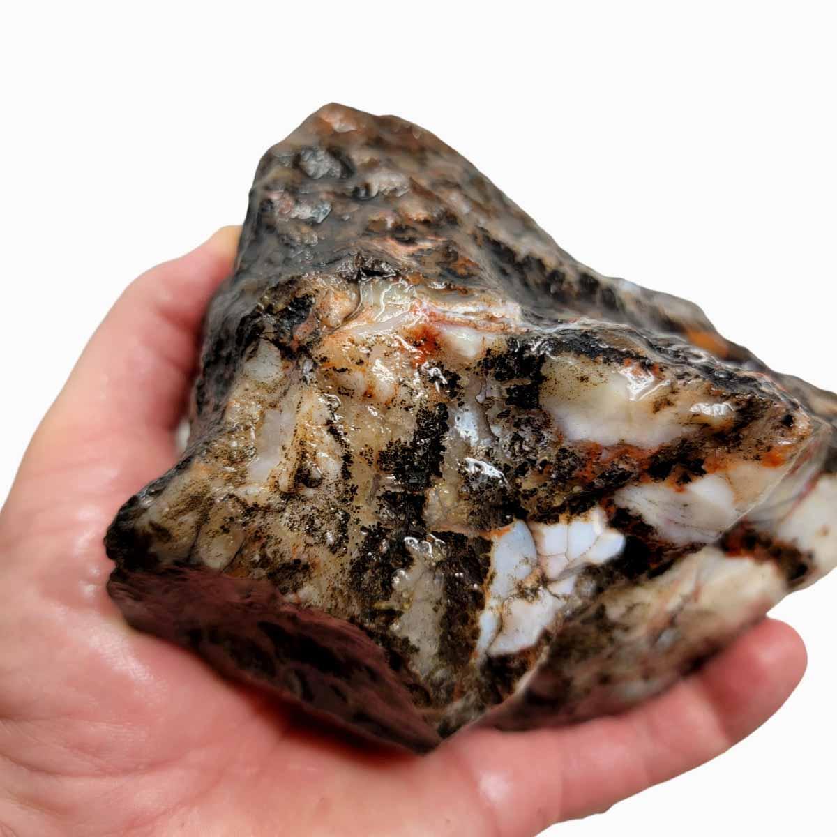 Coprolite Zipper Pull, Fossil Dinosaur Poop Bag Charm — CindyLouWho2