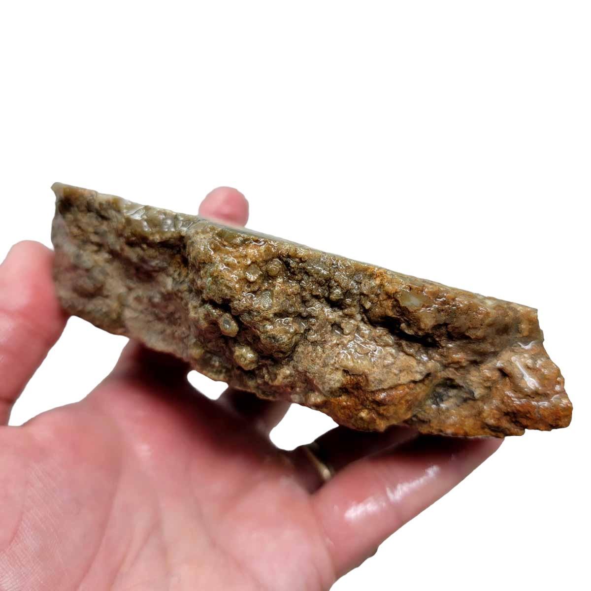Coprolite Zipper Pull, Fossil Dinosaur Poop Bag Charm