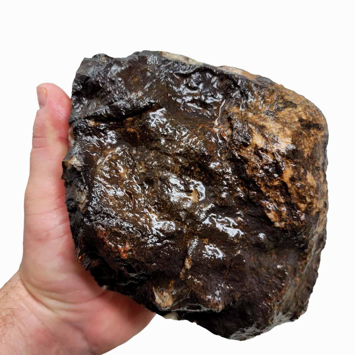 Coprolit Coprolite Fossil Dino Poo Rough Chunk!