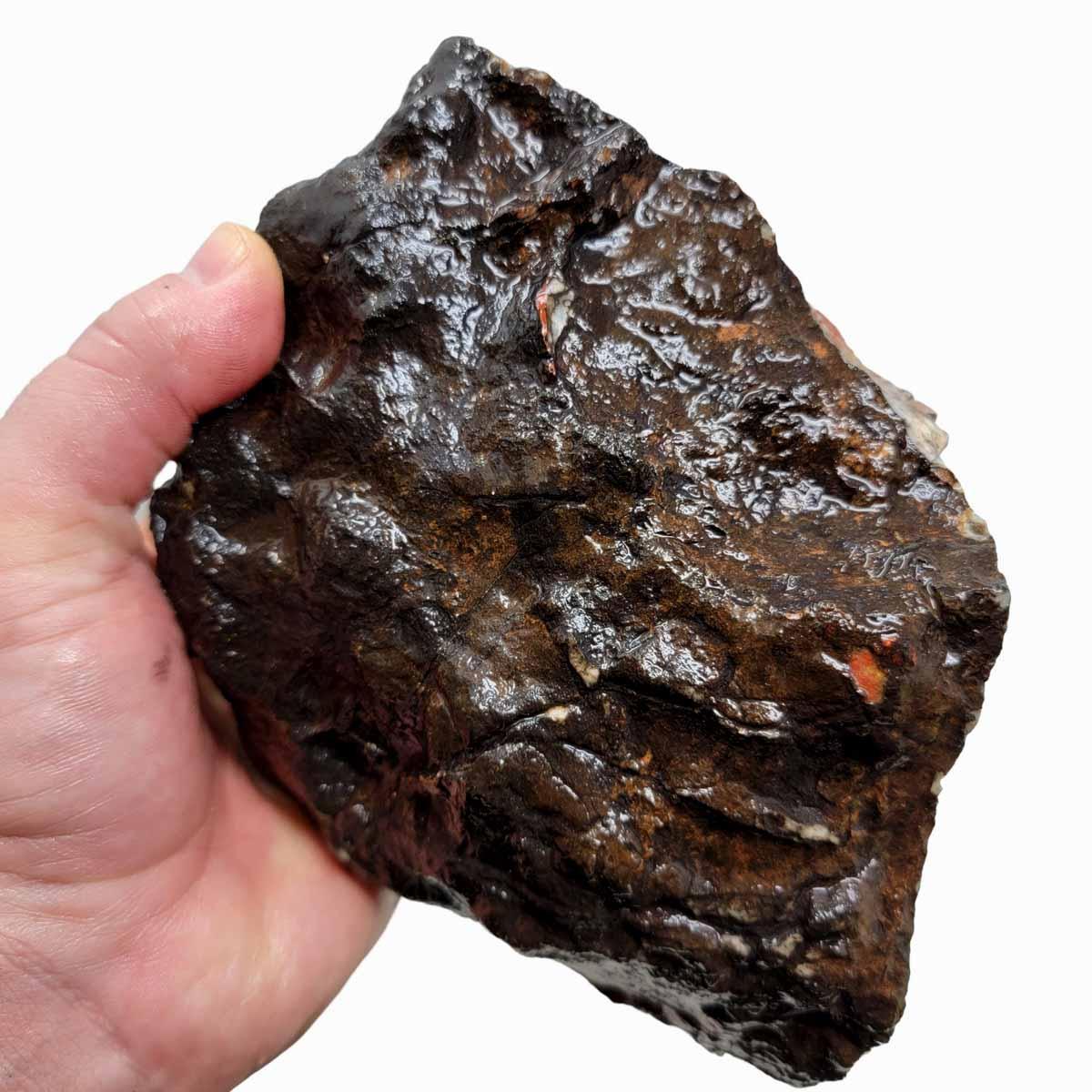 Coprolit Coprolite Fossil Dino Poo Rough Chunk!