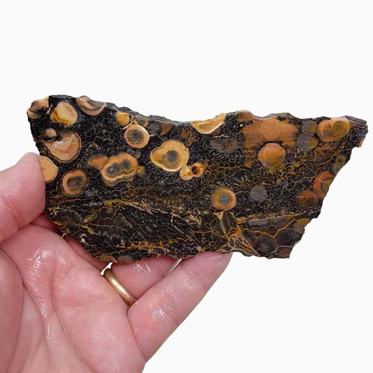 Galaxy Galactica Rhyolite Slab! Lapidary Stone Slab! - Lapidary Central