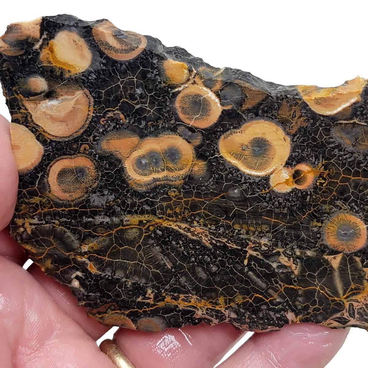 Galaxy Galactica Rhyolite Slab! Lapidary Stone Slab! - Lapidary Central