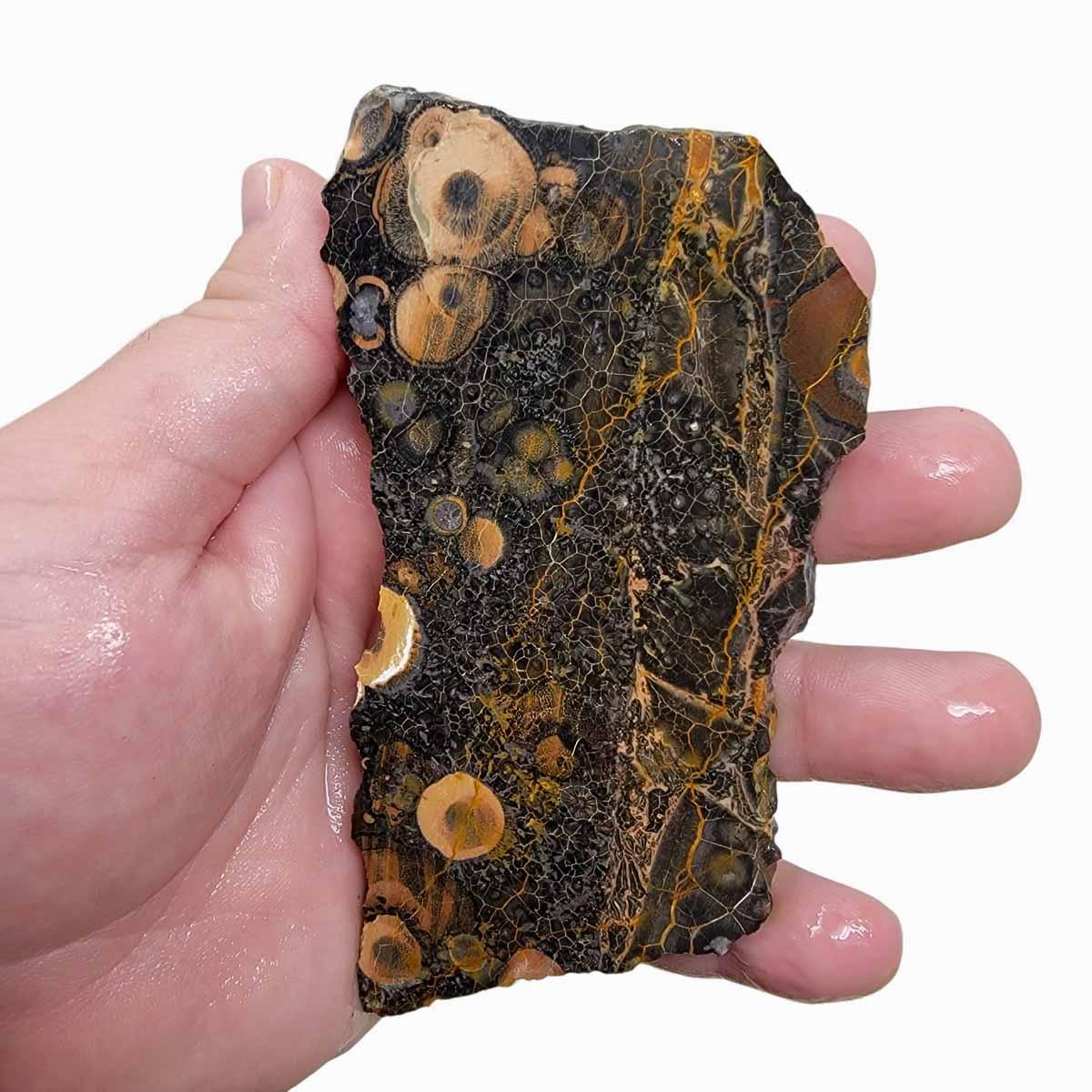 Galaxy Galactica Rhyolite Slab! Lapidary Stone Slab! - Lapidary Central