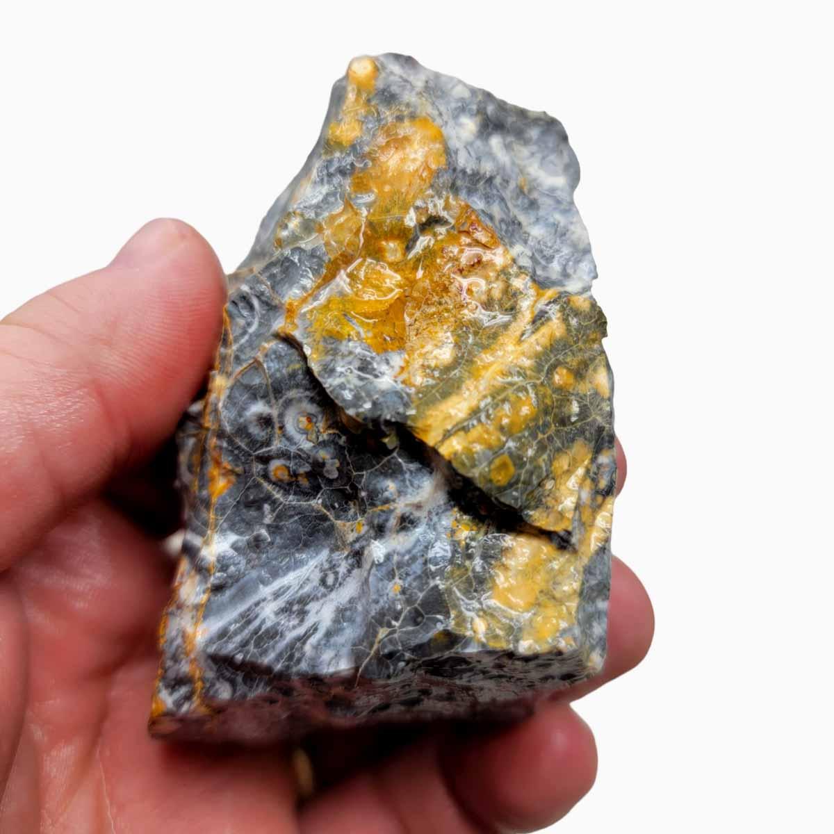 Galaxy Galactica Orbicular Rhyolite Jasper Rough Chunk!