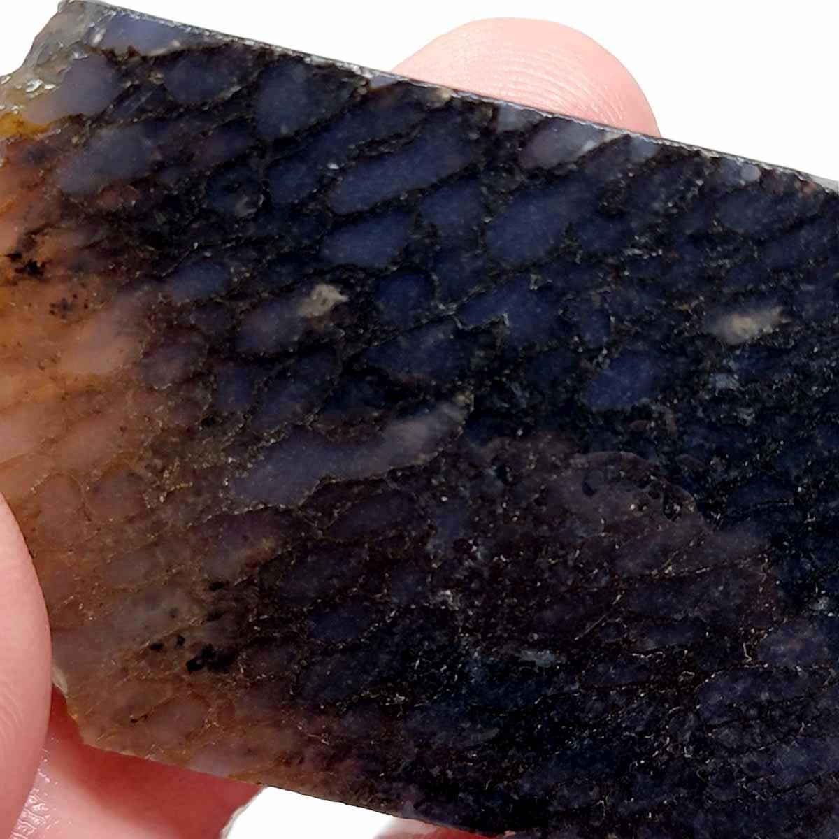 Gem Dinosaur Bone!  Fossil Dino Bone Lapidary Stone Slab! - LapidaryCentral