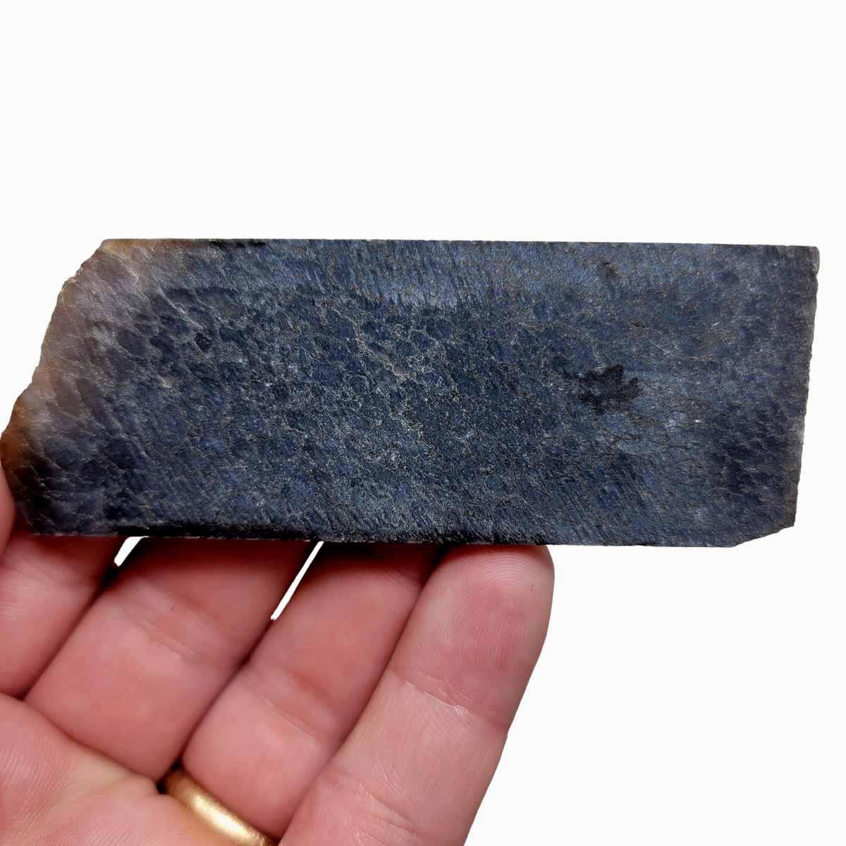 Gem Dinosaur Bone!  Fossil Dino Bone Lapidary Stone Slab! - LapidaryCentral