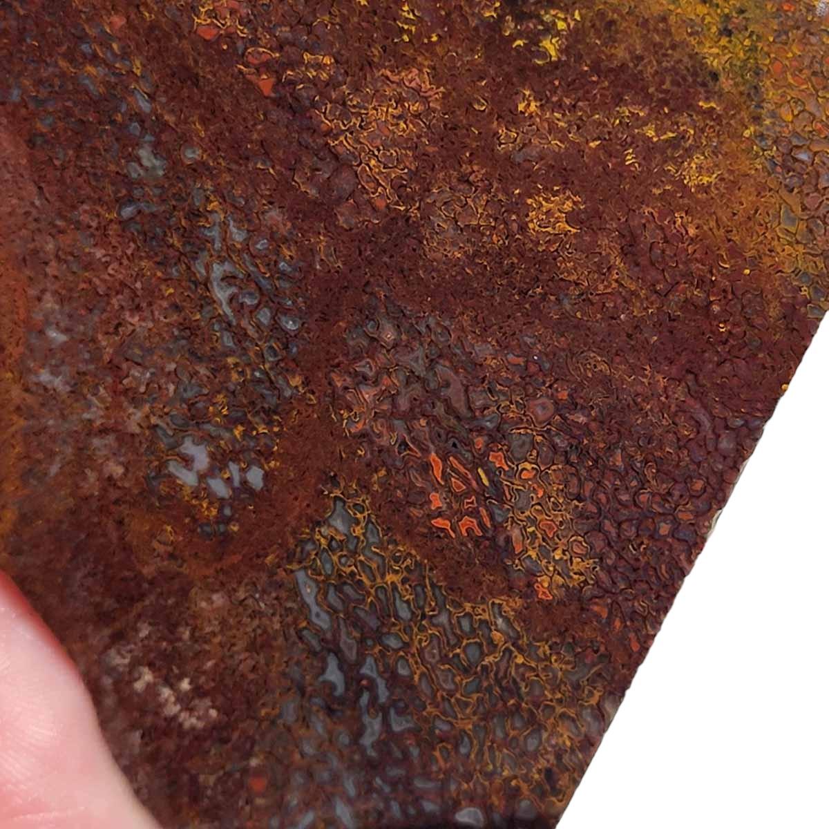 Fossil Gem Dinosaur Bone Slab! Gem Dino Bone Slab! - Lapidary Central