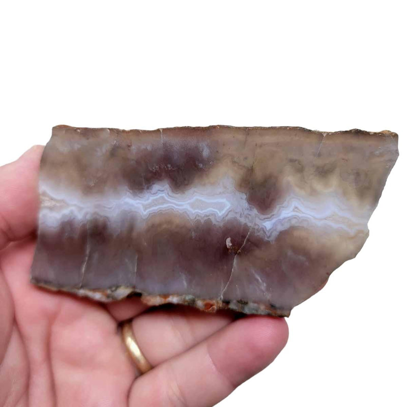 Ghost Seam Agate Slab! Lapidary Stone Slab! - Lapidary Central