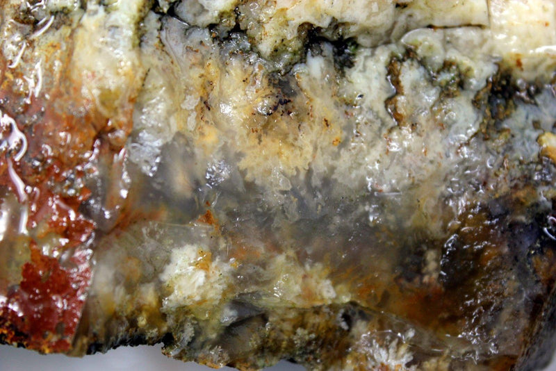 Large Graveyard Point Plume Agate Cutter Rough Chunk! - LapidaryCentral