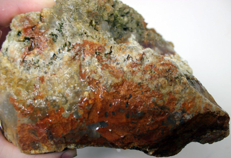 Large Graveyard Point Plume Agate Cutter Rough Chunk! - LapidaryCentral