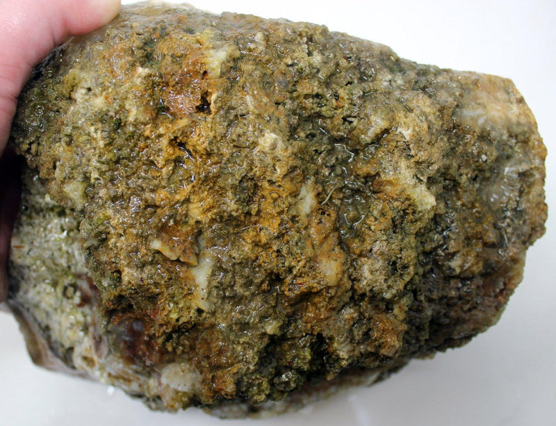 Large Graveyard Point Plume Agate Cutter Rough Chunk! - LapidaryCentral
