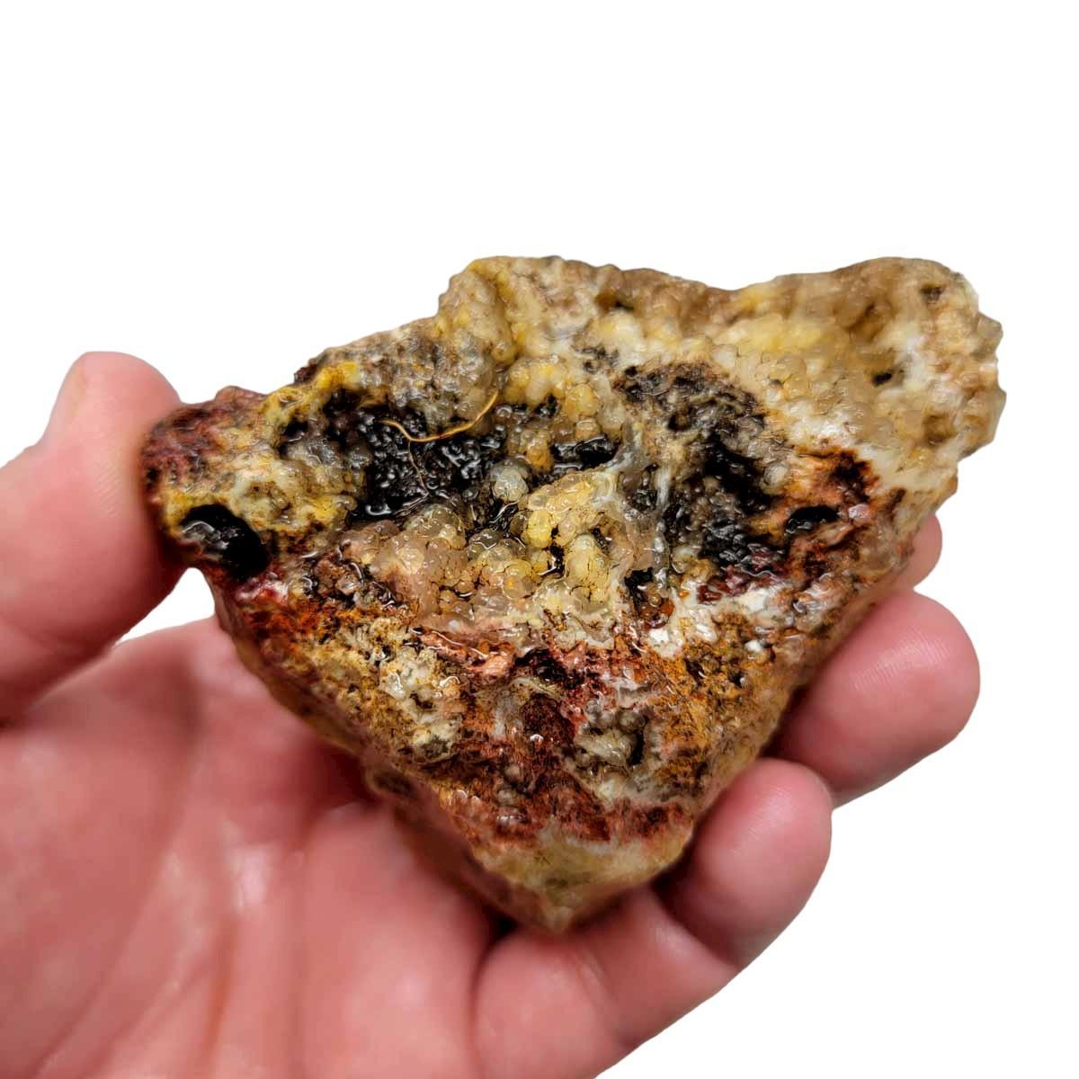 Graveyard Point Plume Agate Rough Chunk! - LapidaryCentral