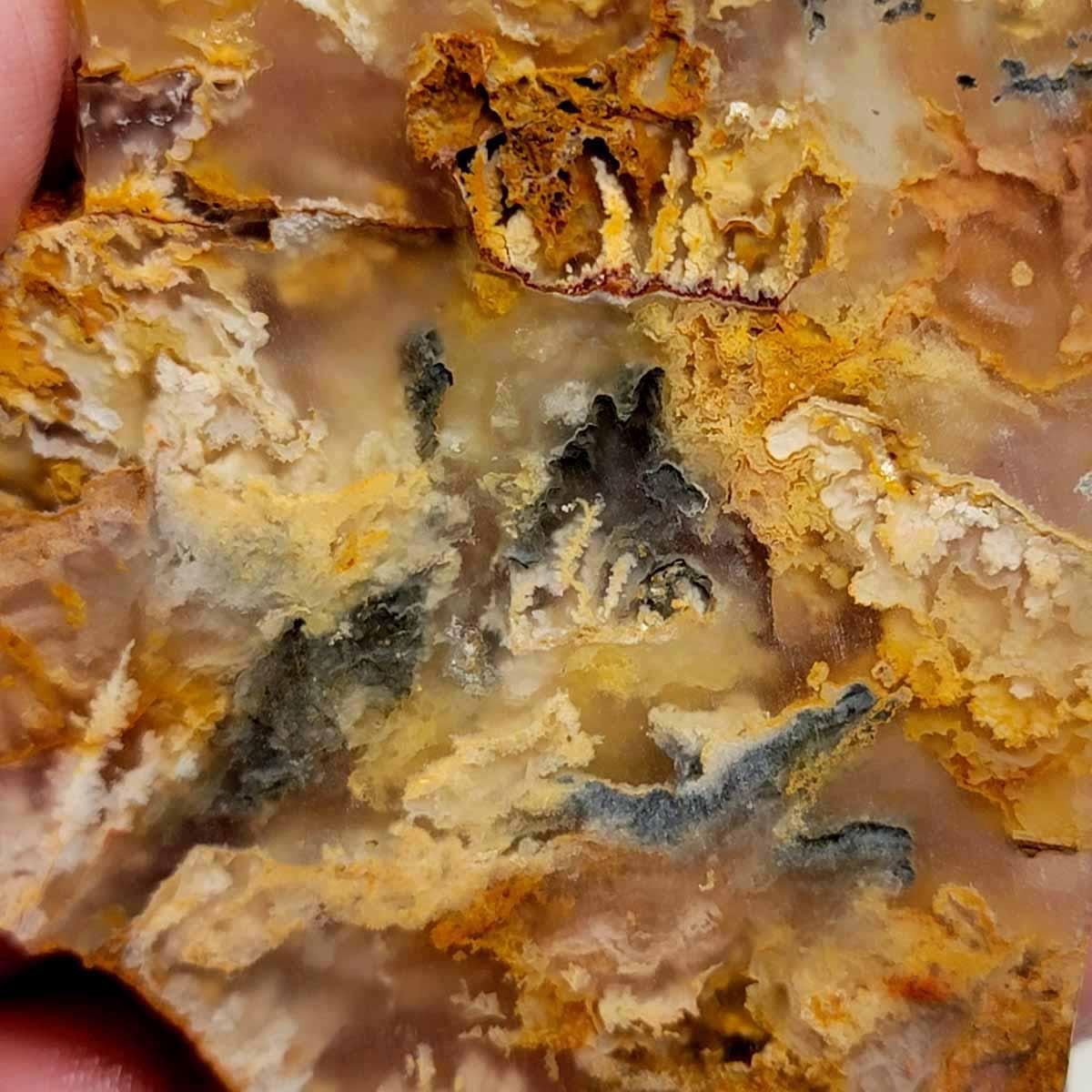 Graveyard Point Plume Agate Slab!  Old Stock Lapidary Slab! - LapidaryCentral