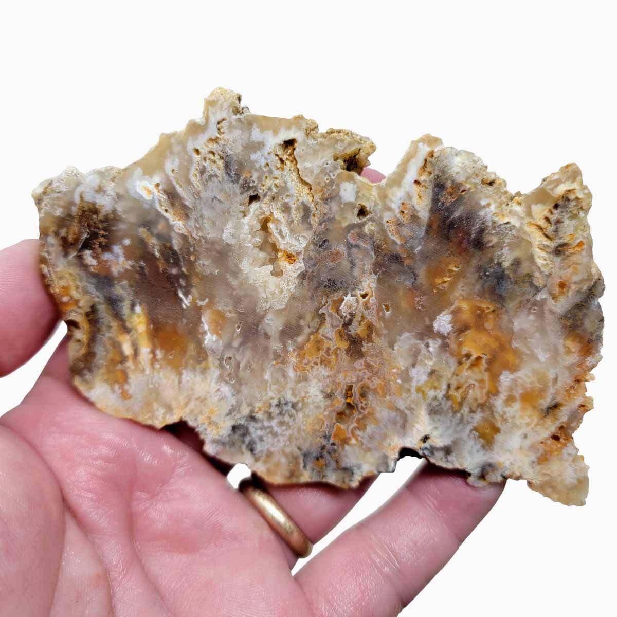 Graveyard Point Plume Agate Slab! Old Stock Lapidary Slab! - Lapidary Central