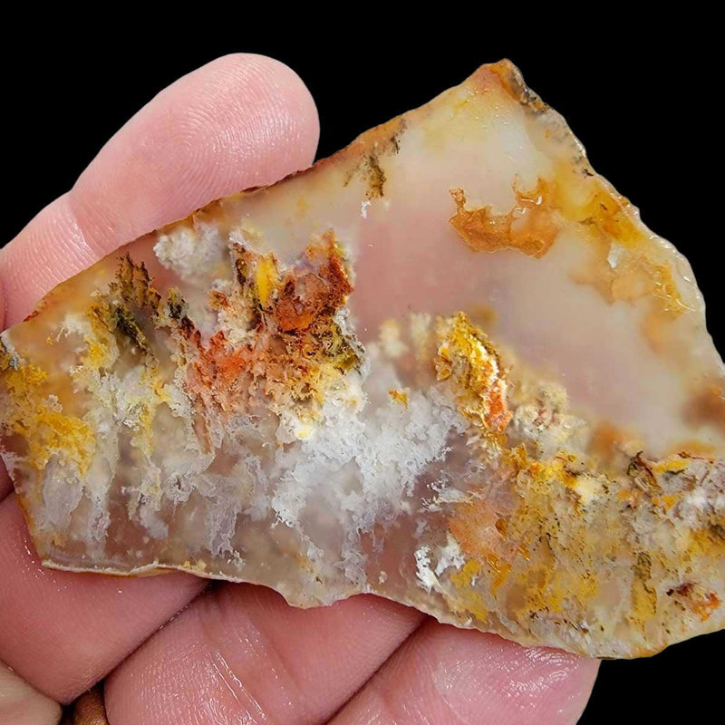 Regency Rose Plume Agate Slab!  Old Stock Lapidary Slab! - LapidaryCentral