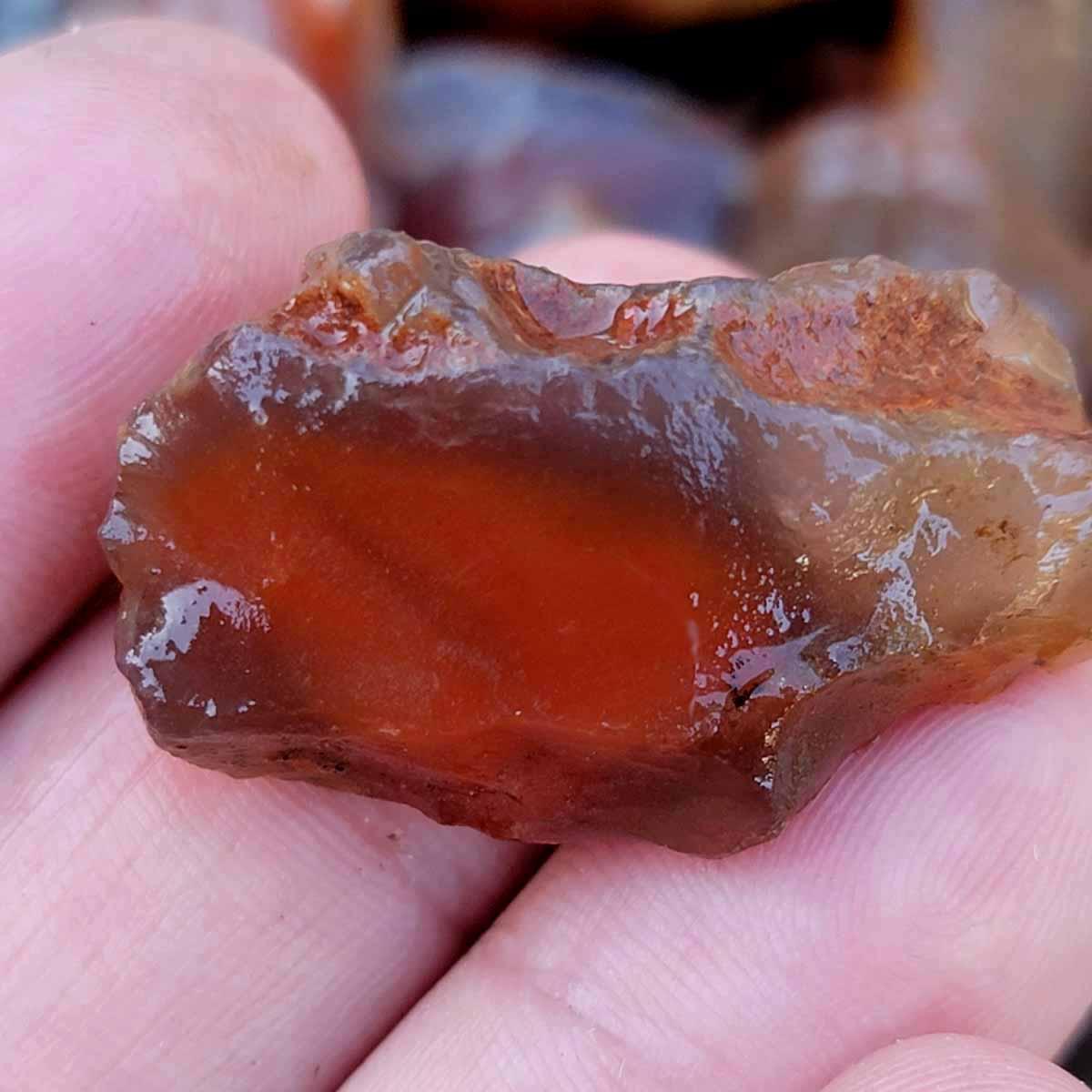 Random Pull Swazi Agate Rough Chunks! Great for Tumbling! Swali Agate - Lapidary Central
