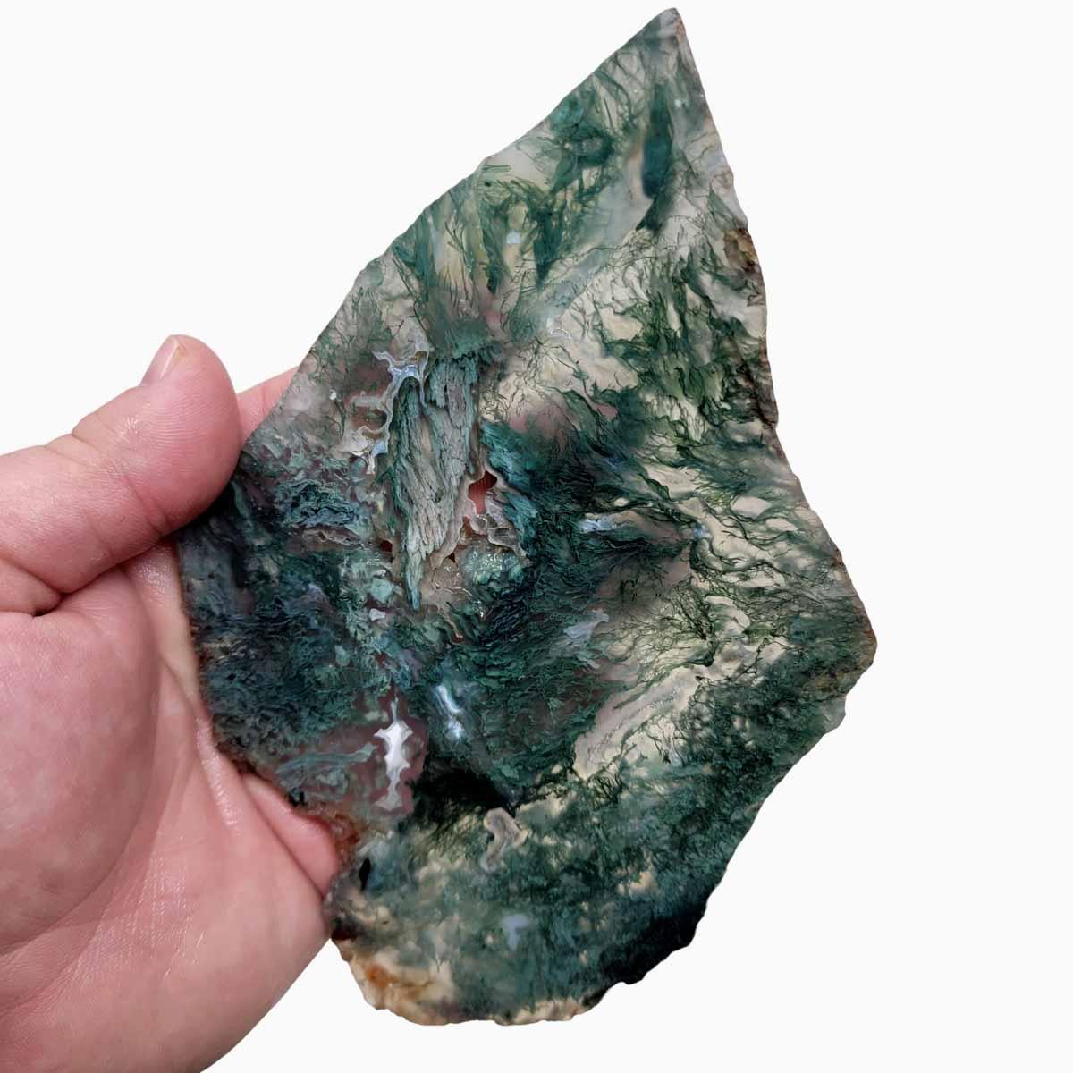 Horse Canyon Moss Agate Slab!  California Moss Agate! - LapidaryCentral