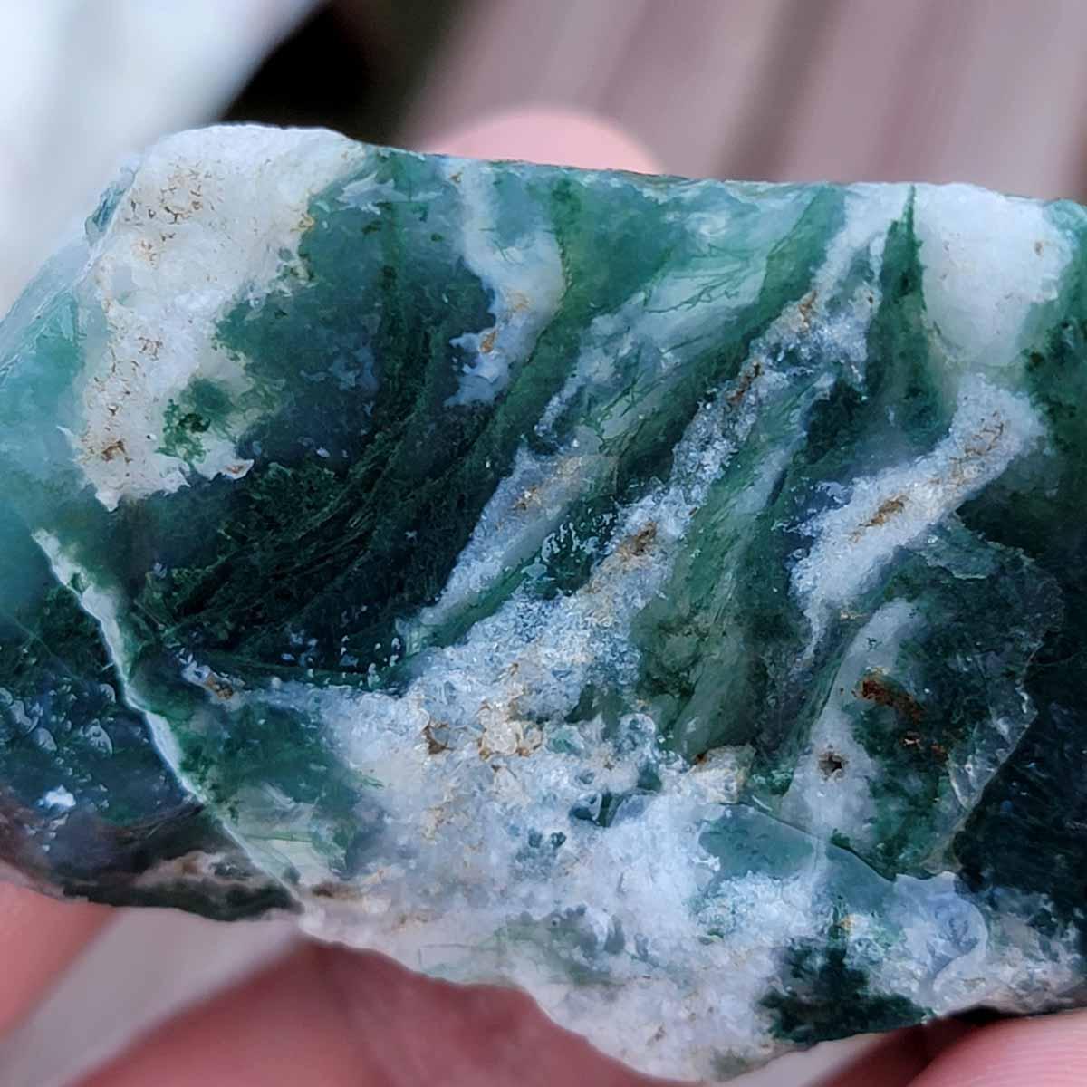 One Lbs Random Pull India Tree Agate Tumbling Trimmer Rough! - LapidaryCentral