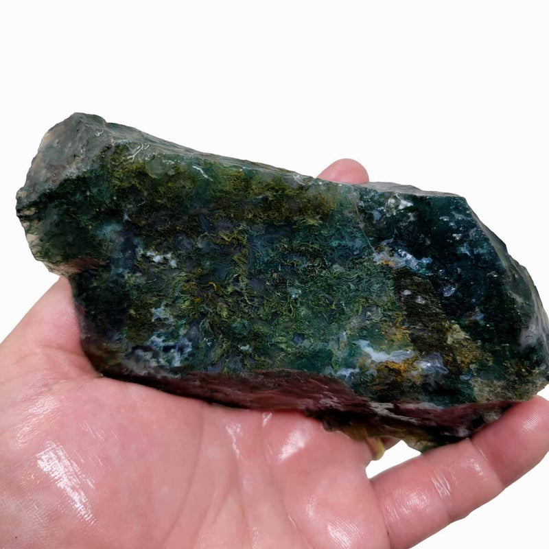 India Tree Moss Agate Cutting Rough Chunk! - Lapidary Central