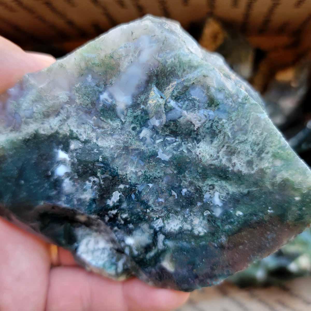 India Tree Moss Agate Trimming Tumbling Rough Flatrate! - Lapidary Central