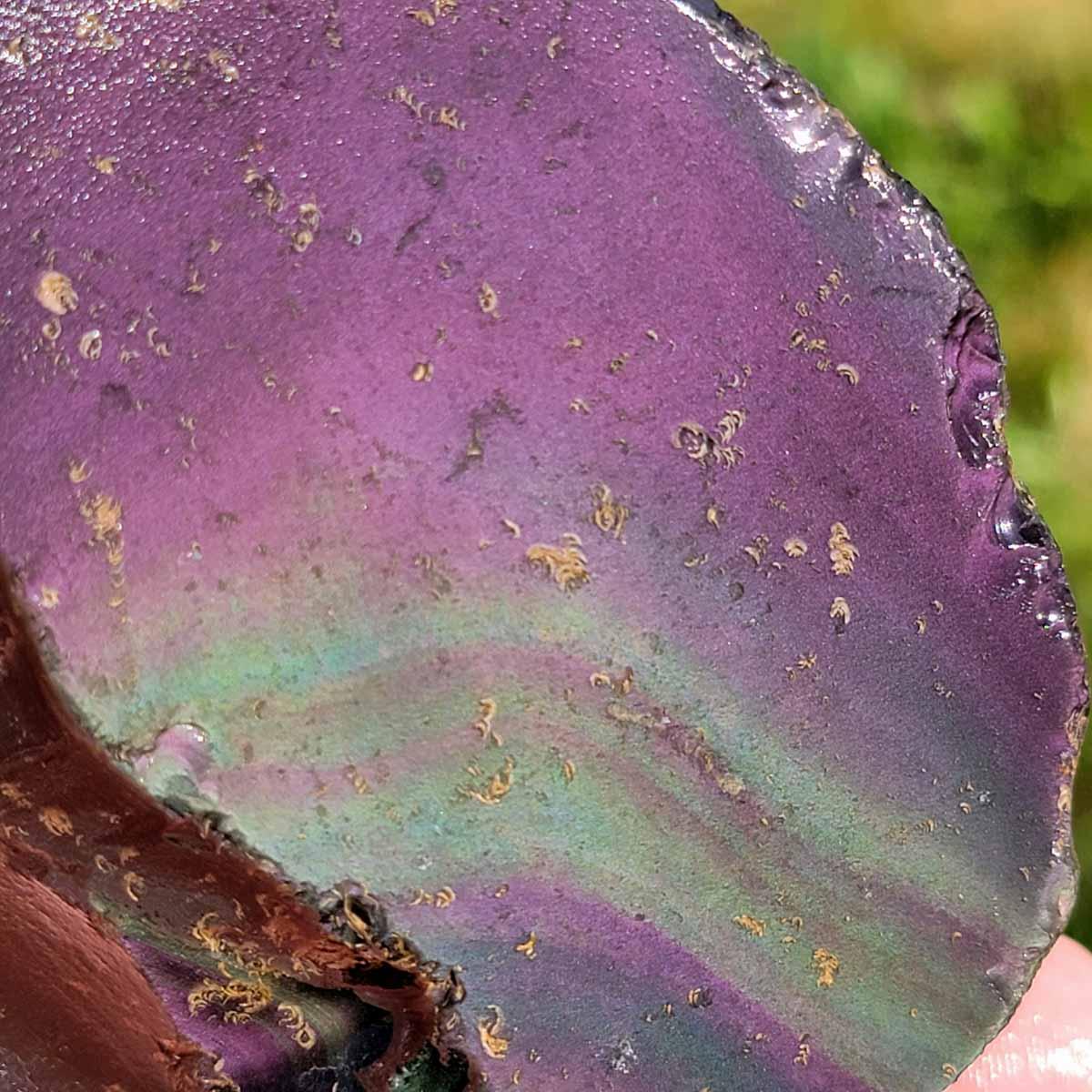 Mexican Jalisco Rainbow Obsidian Rough Chunk! - Lapidary Central