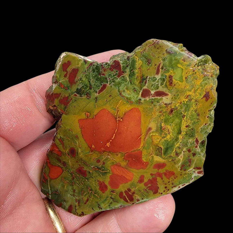 Christmas Tree Kaleidoscope Jasper Slab!  Lapidary Stone Slab! - LapidaryCentral
