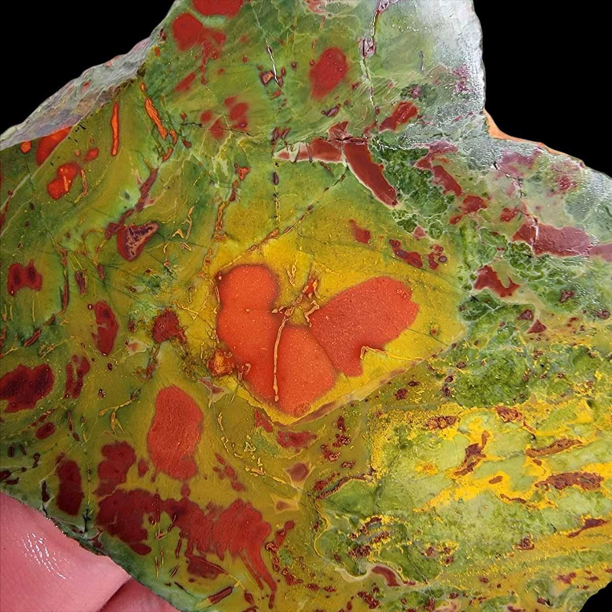 Valentines Day Christmas Tree Kaleidoscope Jasper Slab!  Lapidary Stone Slab! - LapidaryCentral