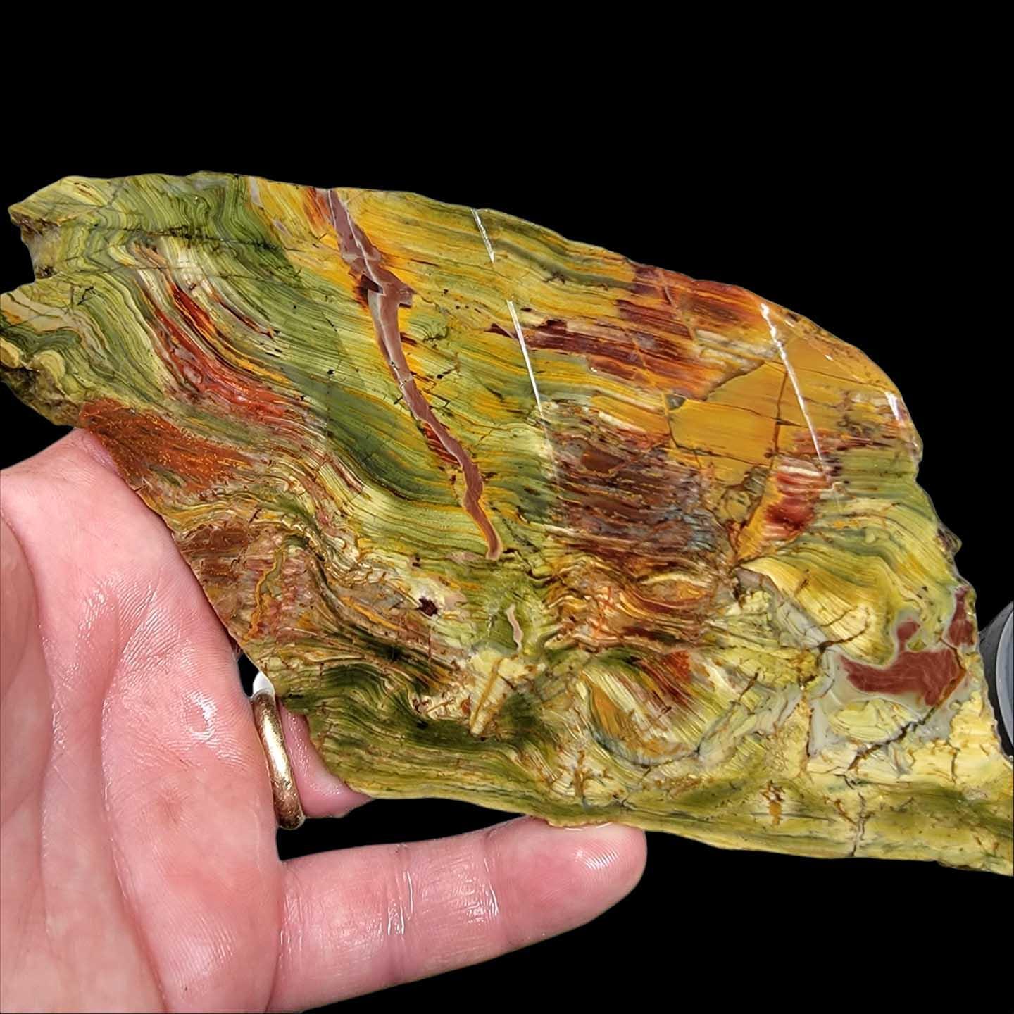 NEW VEIN Kaleidoscope Jasper Slab!  Lapidary Stone Slab! - LapidaryCentral