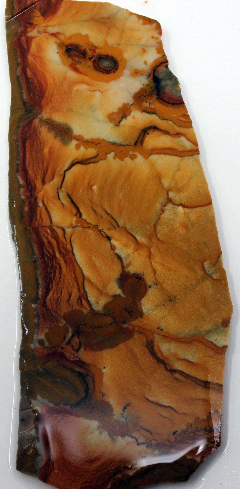 Old stock rocky butte picture jasper slab! lapidary stone slab! - LapidaryCentral