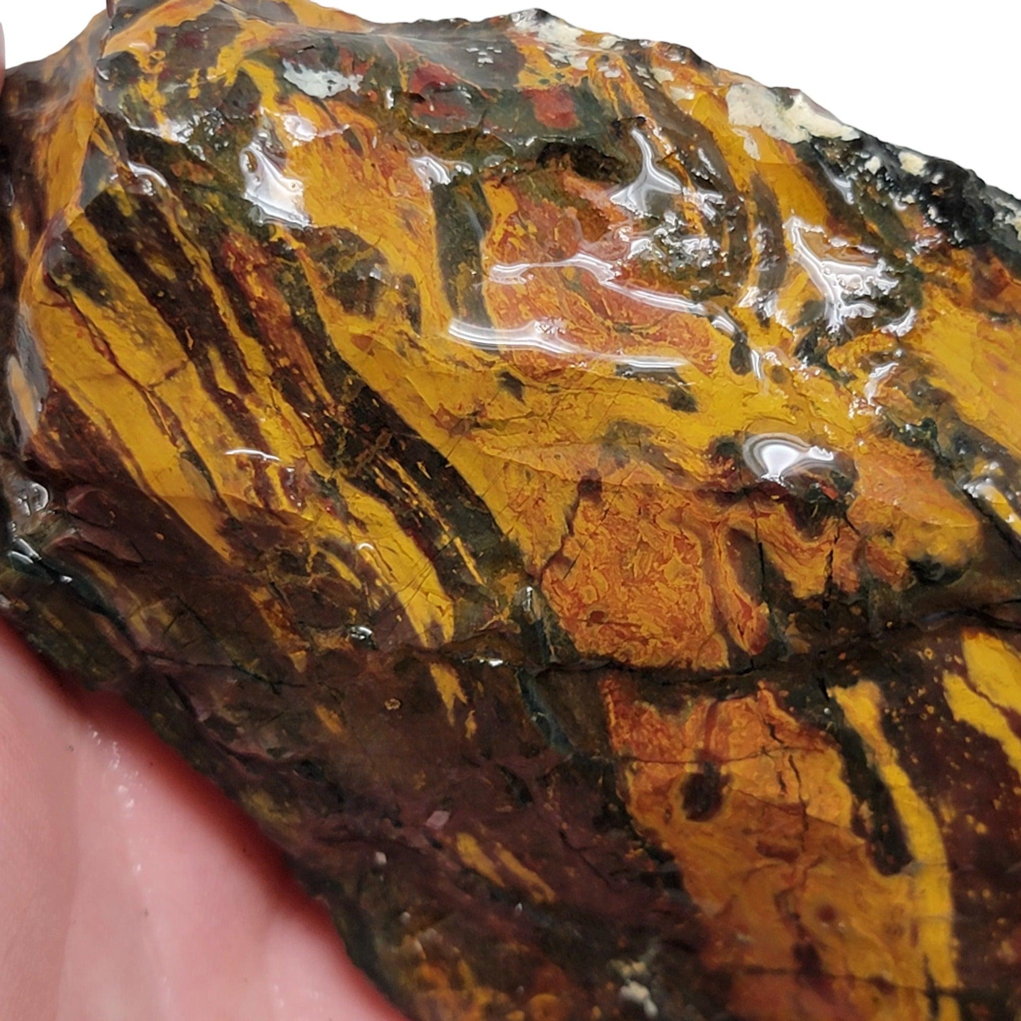 Gold Stripe Burgundy Stripe Kaleidoscope Jasper Cutting Rough Chunk! - LapidaryCentral