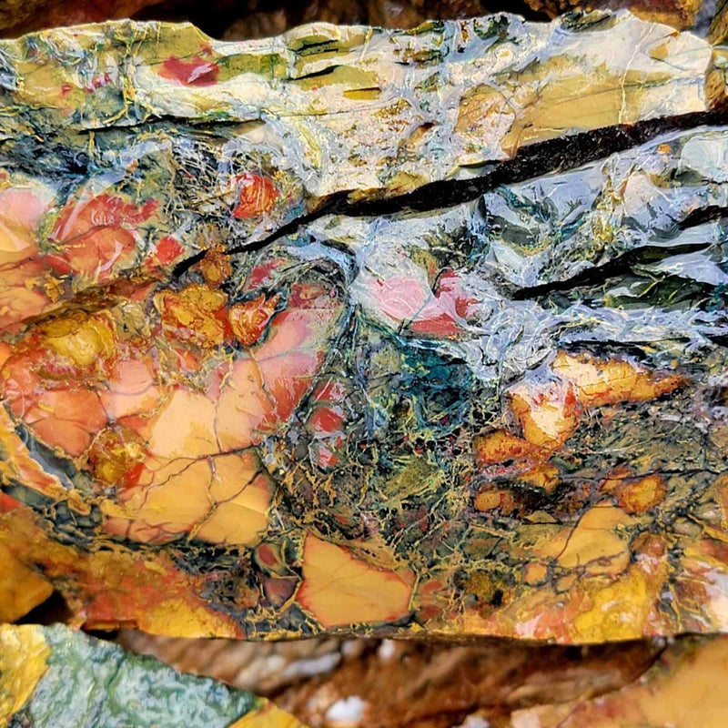 Kaleidoscope Jasper Cutter Rough Flatrate! - Lapidary Central